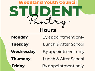 Woodland Youth Council Club flyer