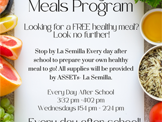 Healthy Meals Flyer
