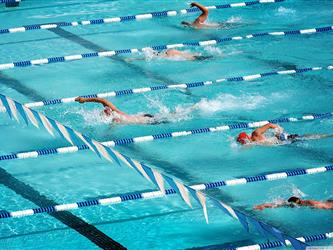 swimmers in pool lanes
