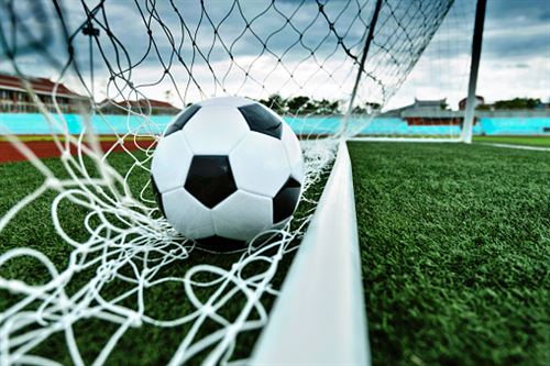 soccer ball in the goal